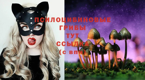 мяу мяу мука Армянск