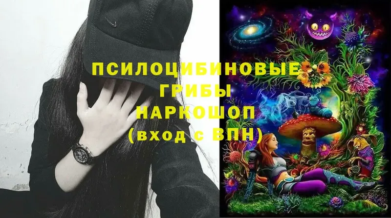 где можно купить наркотик  Заозёрск  Галлюциногенные грибы MAGIC MUSHROOMS 