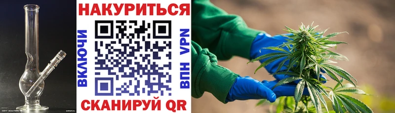 Бошки марихуана VHQ  Заозёрск 